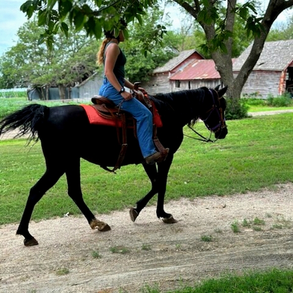 Meet your Posher, Rhema - Picture 1 of 2